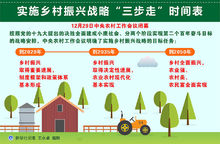 實(shí)施鄉(xiāng)村振興戰(zhàn)略時(shí)間表